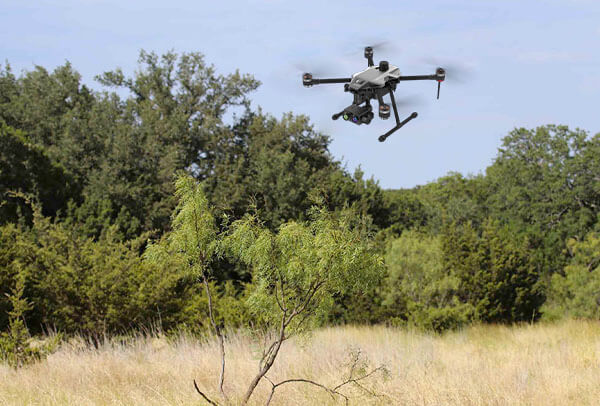 forest-monitoring